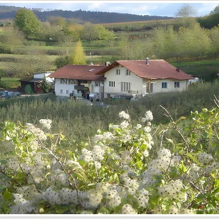 Weingut Ringwald Herbolzheim Exterior foto