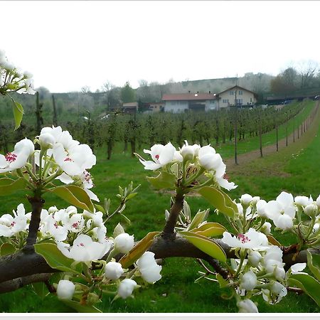 Weingut Ringwald Herbolzheim Exterior foto