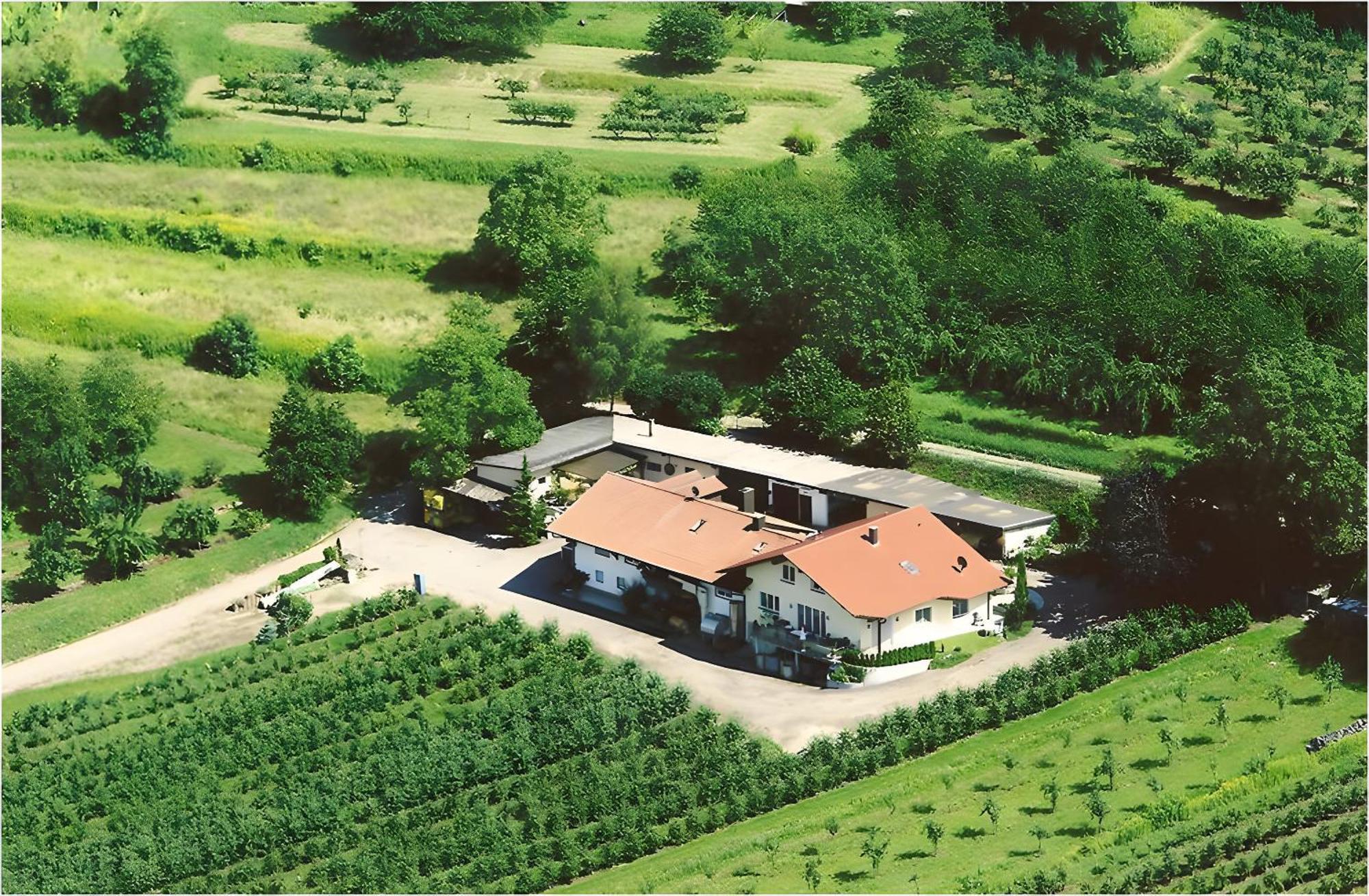 Weingut Ringwald Herbolzheim Exterior foto