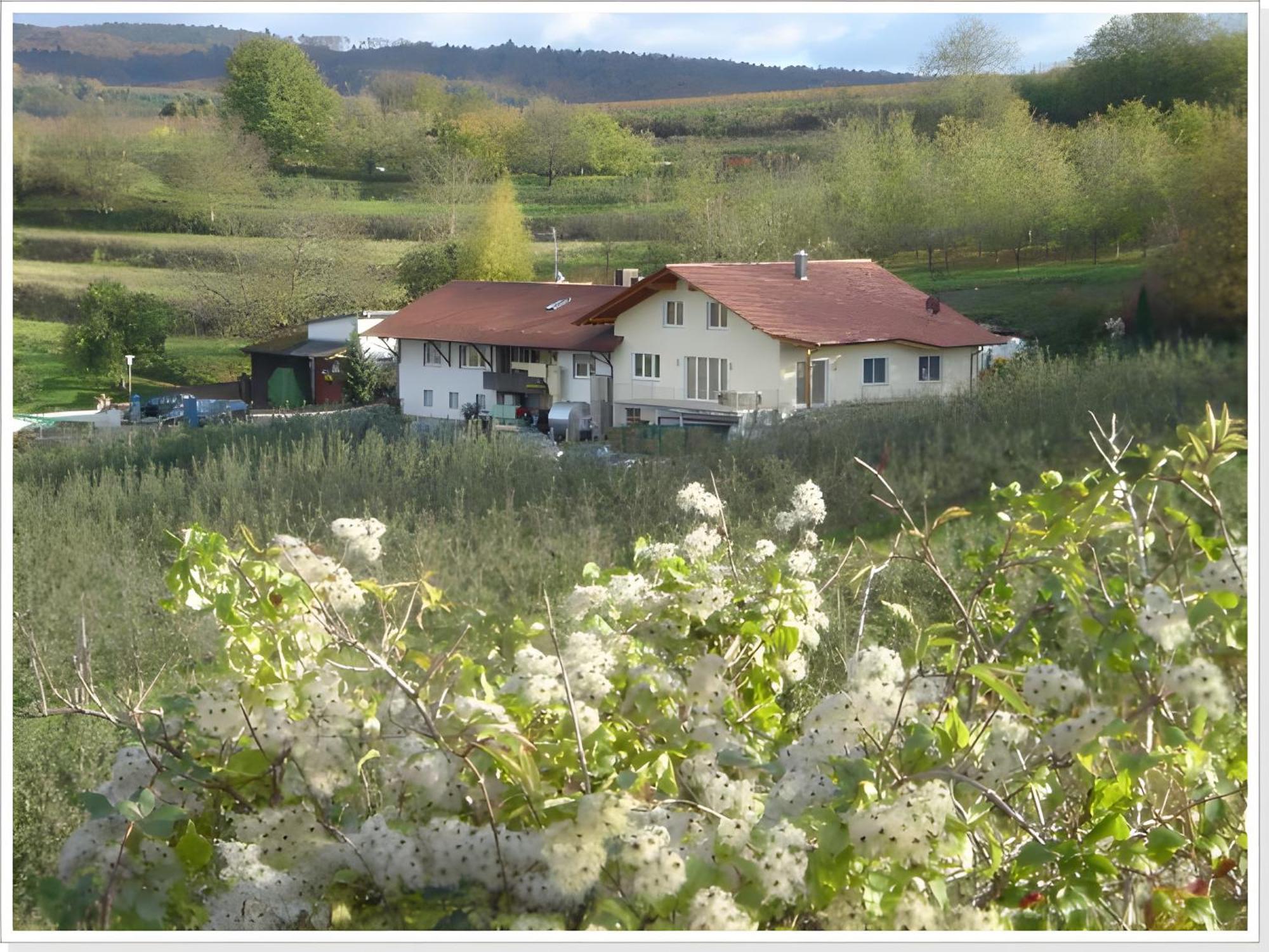 Weingut Ringwald Herbolzheim Exterior foto